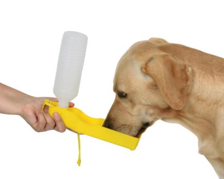 Autoschondecke Hund inklusive Reisetrinkflasche - Schutzdecke für die Rückbank, schmutzabweisend, wasserabweisend